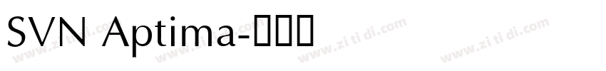 SVN Aptima字体转换